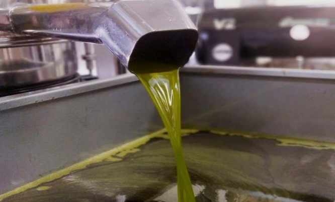 ACEITE-PALTA03