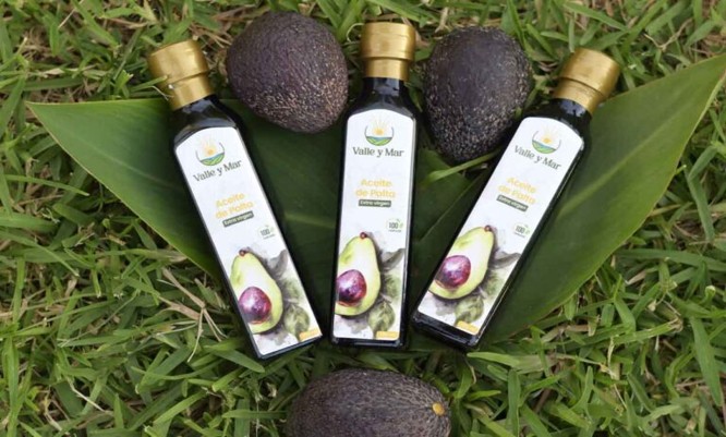 ACEITE-PALTA04