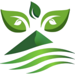 LOGO_HOJA_SOLA-TRANSPARENTE